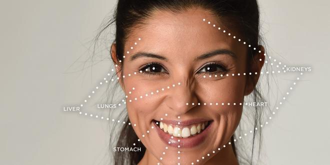 A diagram of face reading areas.