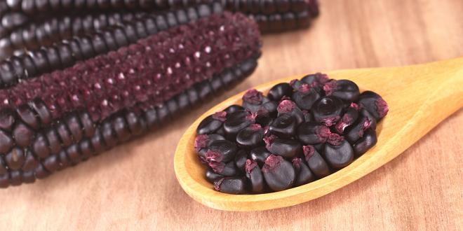 Grains of Peruvian purple corn