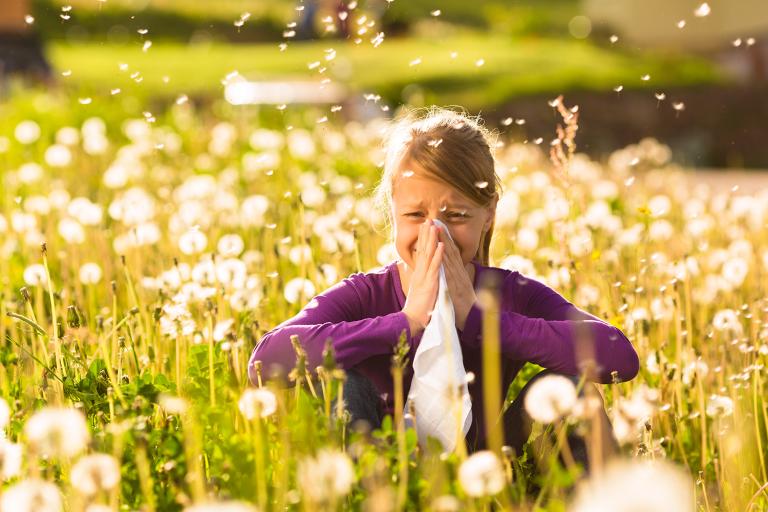 A little girl in a field, sneezing her poor head off.