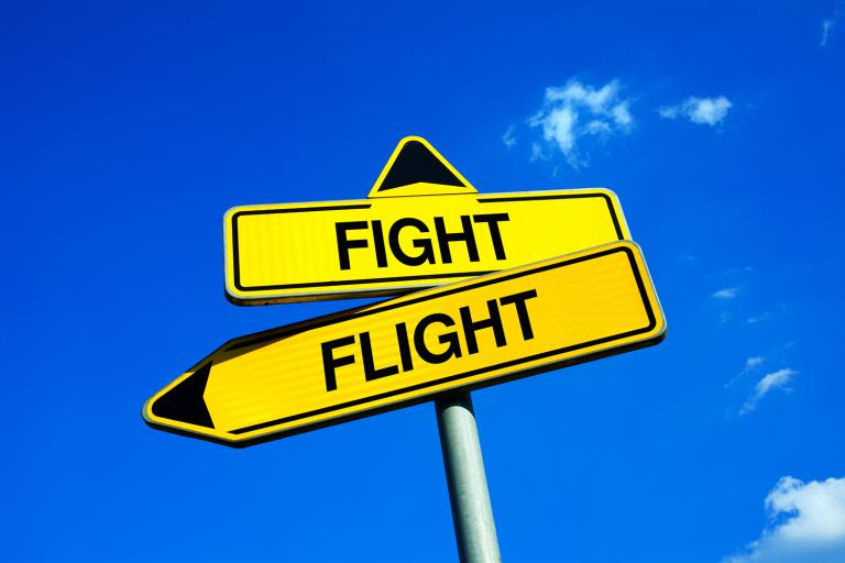 two roadsigns indicating a choice between fight or flight